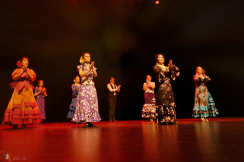 Crédit photo : Alexandre GODARD © Abelios