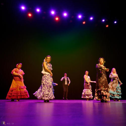 Crédit photo : Alexandre GODARD © Abelios