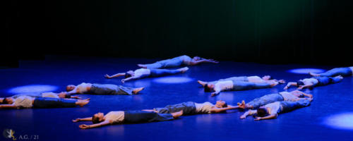 Crédit photo : Alexandre GODARD © Abelios