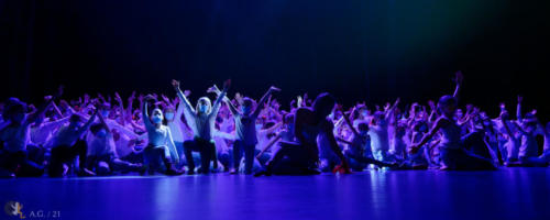 Crédit photo : Alexandre GODARD © Abelios