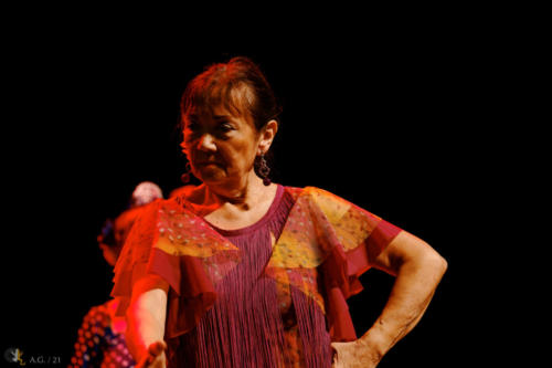 Crédit photo : Alexandre GODARD © Abelios