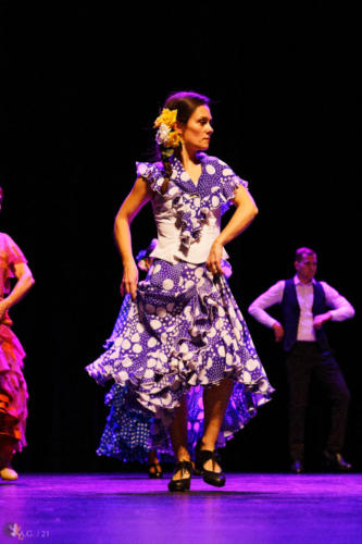 Crédit photo : Alexandre GODARD © Abelios