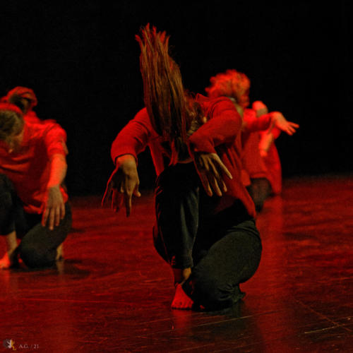 Crédit photo : Alexandre GODARD © Abelios