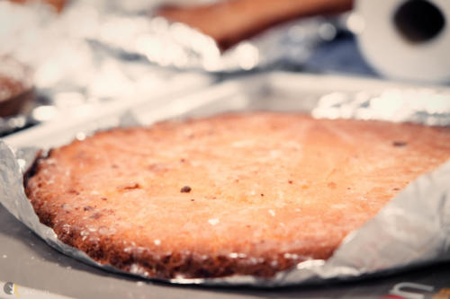 Crédit photo : Alexandre GODARD © Abelios