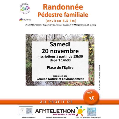Randonnée pédestre - 20/11/2021